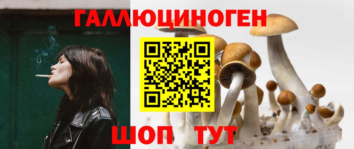 Псилоцибиновые грибы Cubensis Светлоград